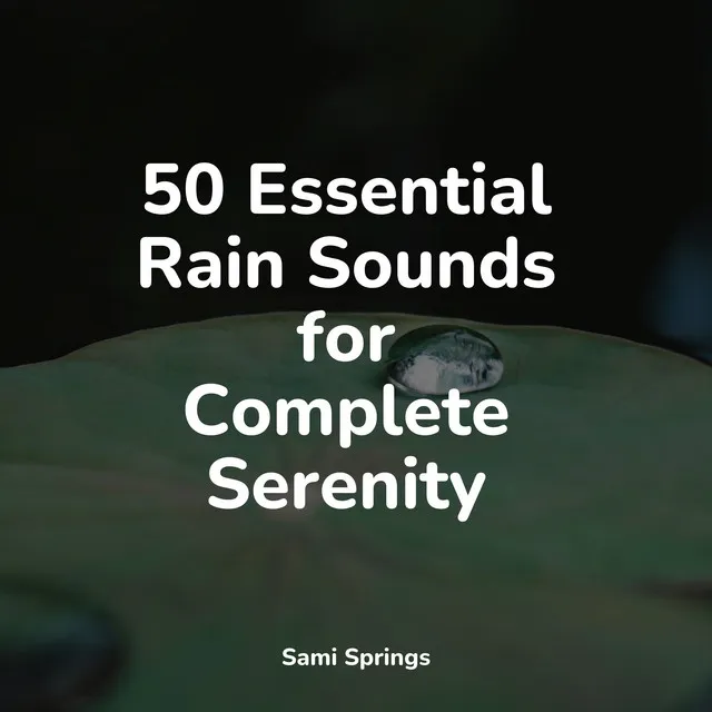 50 Essential Rain Sounds for Complete Serenity