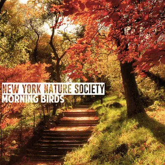 Morning Birds by New York Nature Society