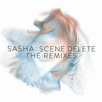 Cassette Sessions D - Throwing Snow Remix by Sasha