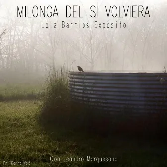 Milonga del si volviera by Lola Barrios Expósito