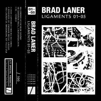 Ligaments 01 – 05 by Brad Laner