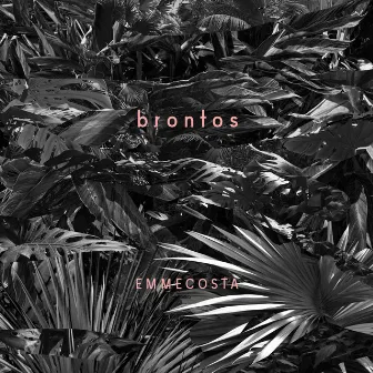 Brontos by Emmecosta