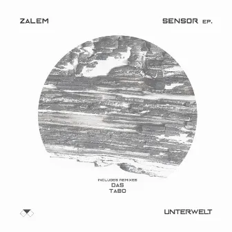 Sensor by Zalem