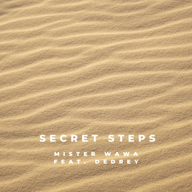 Secret Steps - Radio Edit