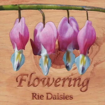 Flowering by Rie Daisies