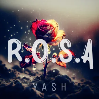 ROSA by Yashmusic