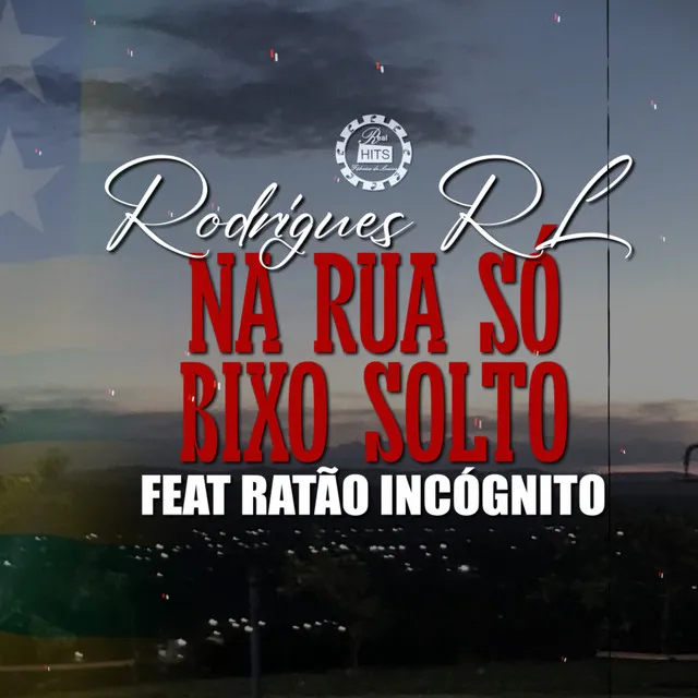 Na Rua Só Bixo Solto