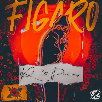 Fígaro by R Primo