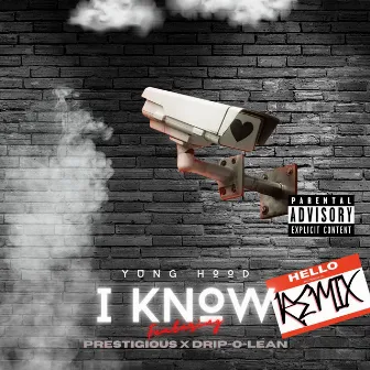 I Know (Remix) by Yung Hood