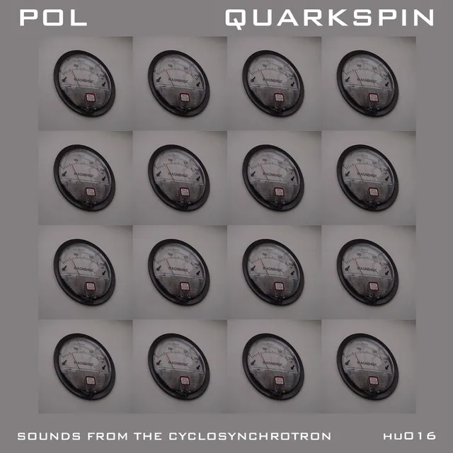 Quarkspin