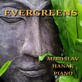 Evergreens by Miroslav Hanák