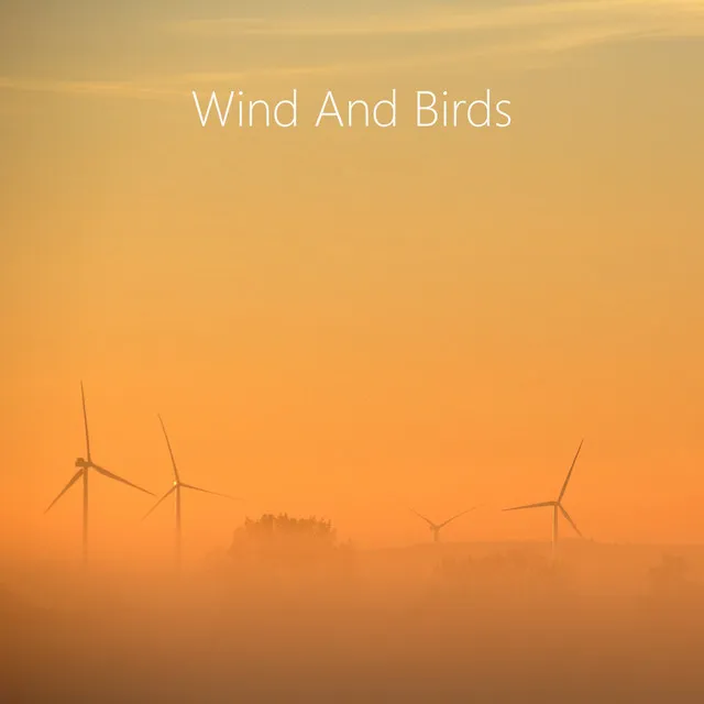 Wind and Birds Relax Sound. World Nature Music for Sleep, Relax and Reiki Zen Meditation.