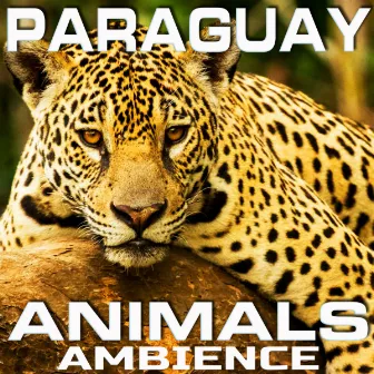 Paraguay Animals Ambience by Nature Sounded