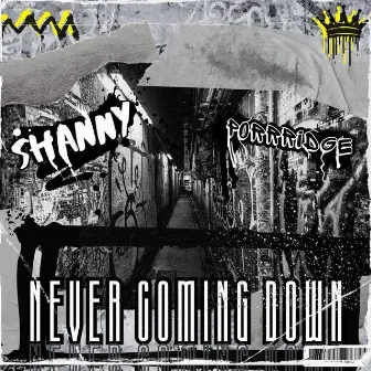 Never Coming Down by Shanny