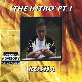 'the Intro' Pt. 1 by Kosha