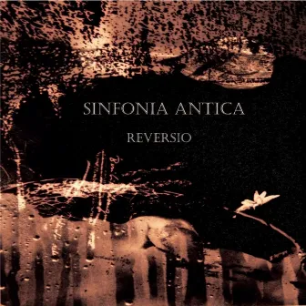 Sinfonia Antica: Agricola, Palestrina, Isaac, Cima by Reversio