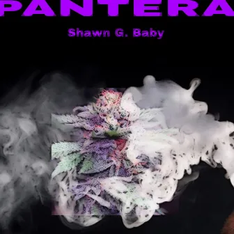 Pantera by Shawn G. Baby