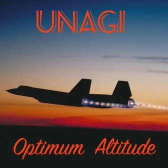 Optimum Altitude by Unagi