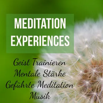 Meditation Experiences - Geist Trainieren Mentale Stärke Geführte Meditation Musik für Reiki Ausbildung Yoga Übungen und Schlafstörungen Therapie by Unknown Artist