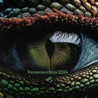 Transenses IBIZA 2024 (DJ Mix) by 