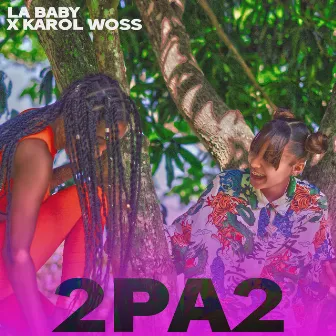 2Pa2 by Karol Woss