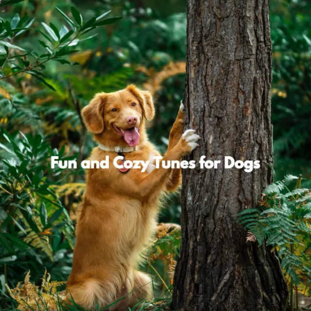 Fun and Cozy Tunes for Dogs