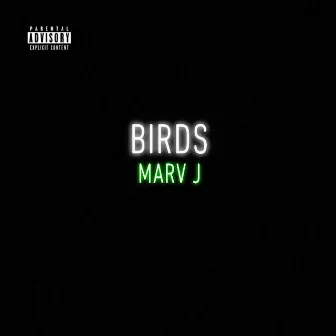 Birds by Marv J