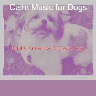 Bubbly Ambiance for Cozy Dogs by Unknown Artist