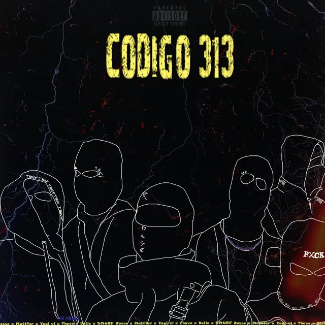 Codigo 313