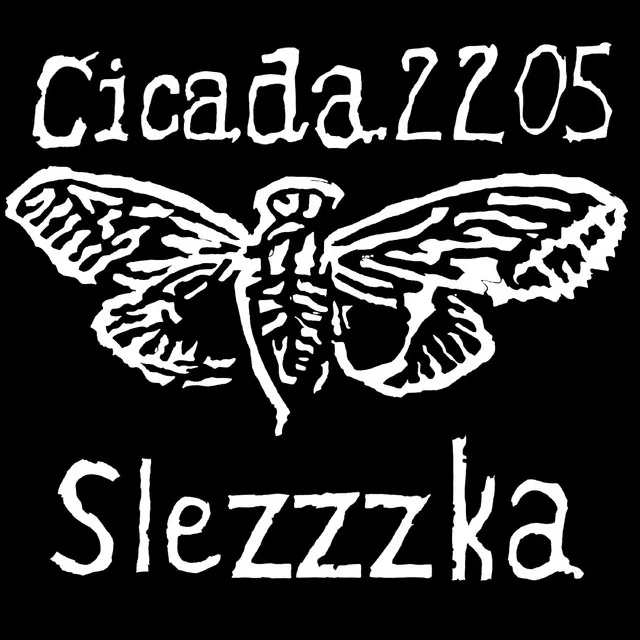 Cicada2205