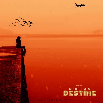 Destine by Rik Jam