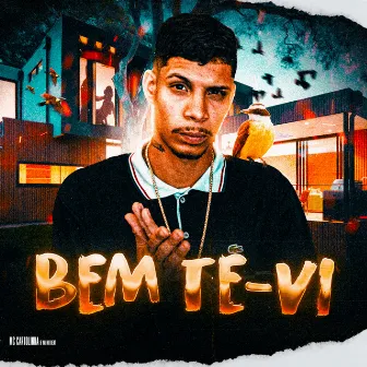 Bem Te Vi by MC Cartolinha