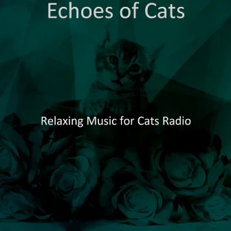 Echoes of Cats by Relaxing Music for Cats Radio