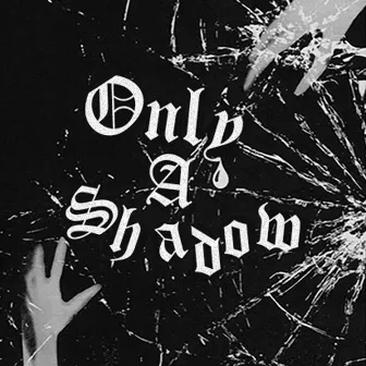 Only a Shadow by White Reaper