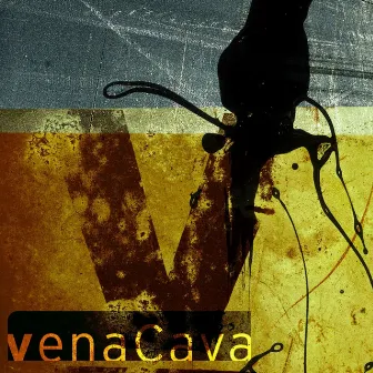 Vena Cava by Vena Cava