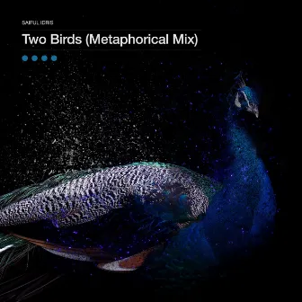 Two Birds (Metaphorical Mix) by Saiful Idris