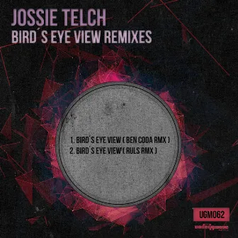 Bird's Eye View Remixes by Jossie Telch