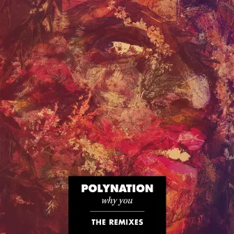 Why You (The Remixes) by Polynation