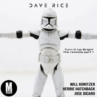 Turn It Up Bright by Dave Rice