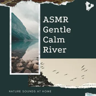 ASMR Gentle Calm River by Nature Sounds At Home