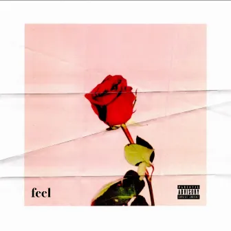 Feel by Amber Bayani