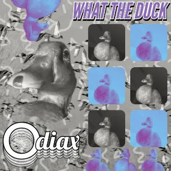 What The DUCK by Odiax