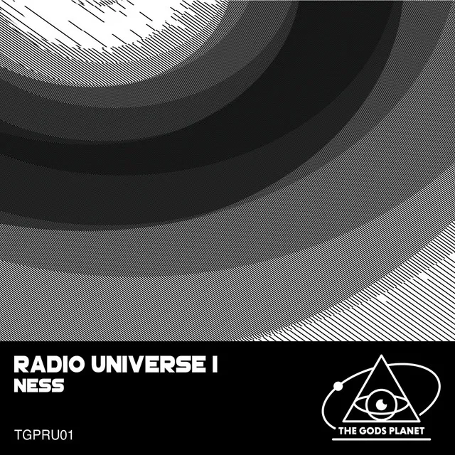 Radio Universe I