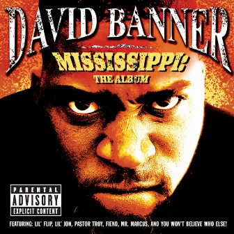 Mississippi: The Album by David Banner