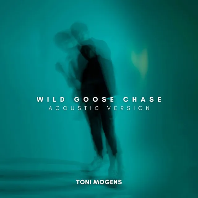 Wild Goose Chase (Acoustic Version)