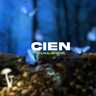 Cien by Dialexa