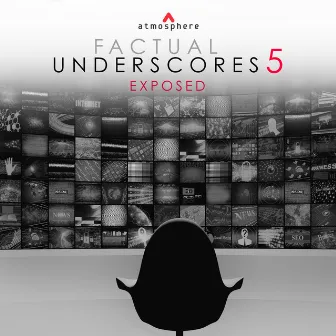 Factual Underscores 5: Exposed by Andrew Michael Britton