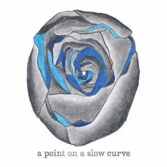 A Point On A Slow Curve by Dana Lyn