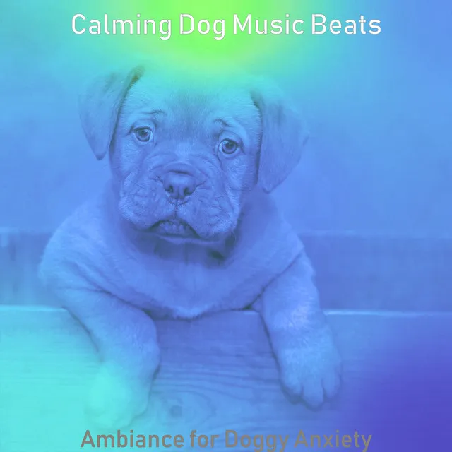 Calming Dog Music Beats