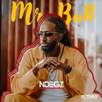 Mr. Bull by Ndegz